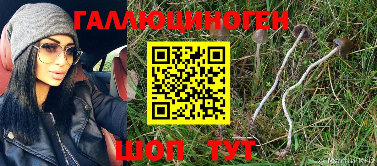 Галлюциногенные грибы Magic Shrooms  Псилоцибиновые грибы Magic Shrooms  Вход с VPN  Тюмень 