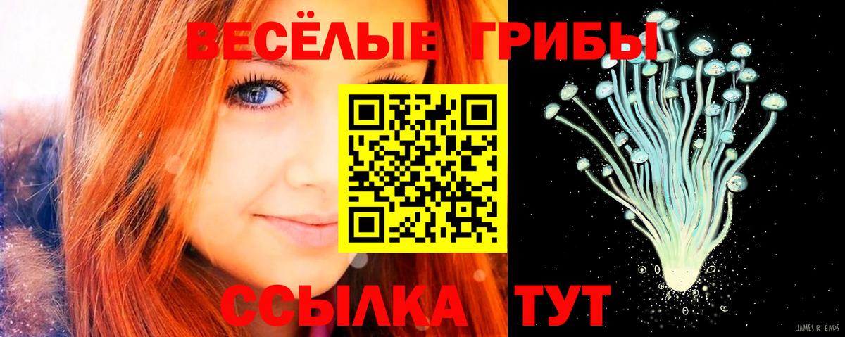 Псилоцибиновые грибы мухоморы Тюмень